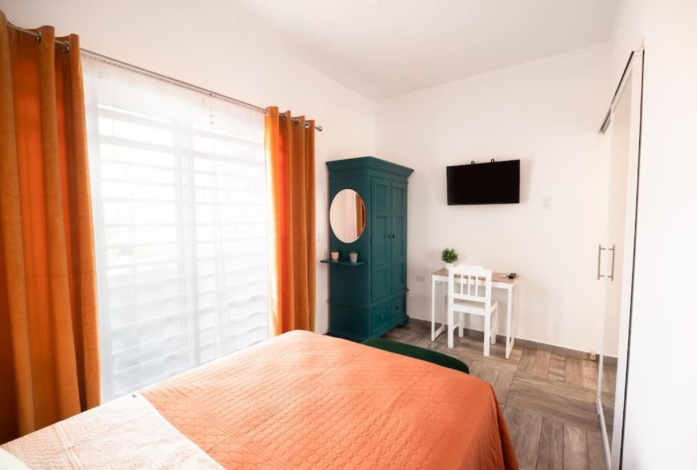 New Apt Super Cozy & Pet Friendly Close To Marina #3 La Paz Eksteriør billede
